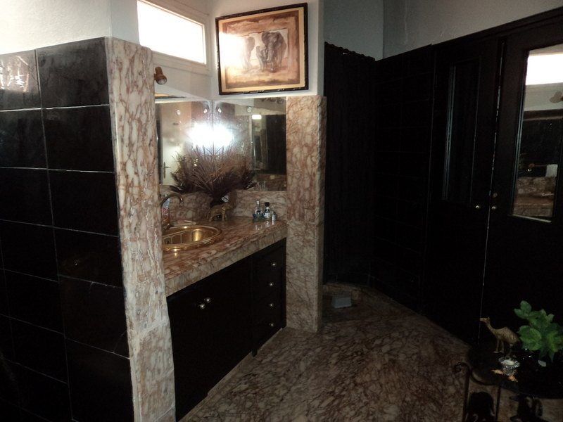 First-floor bathroom — black, gold and marble